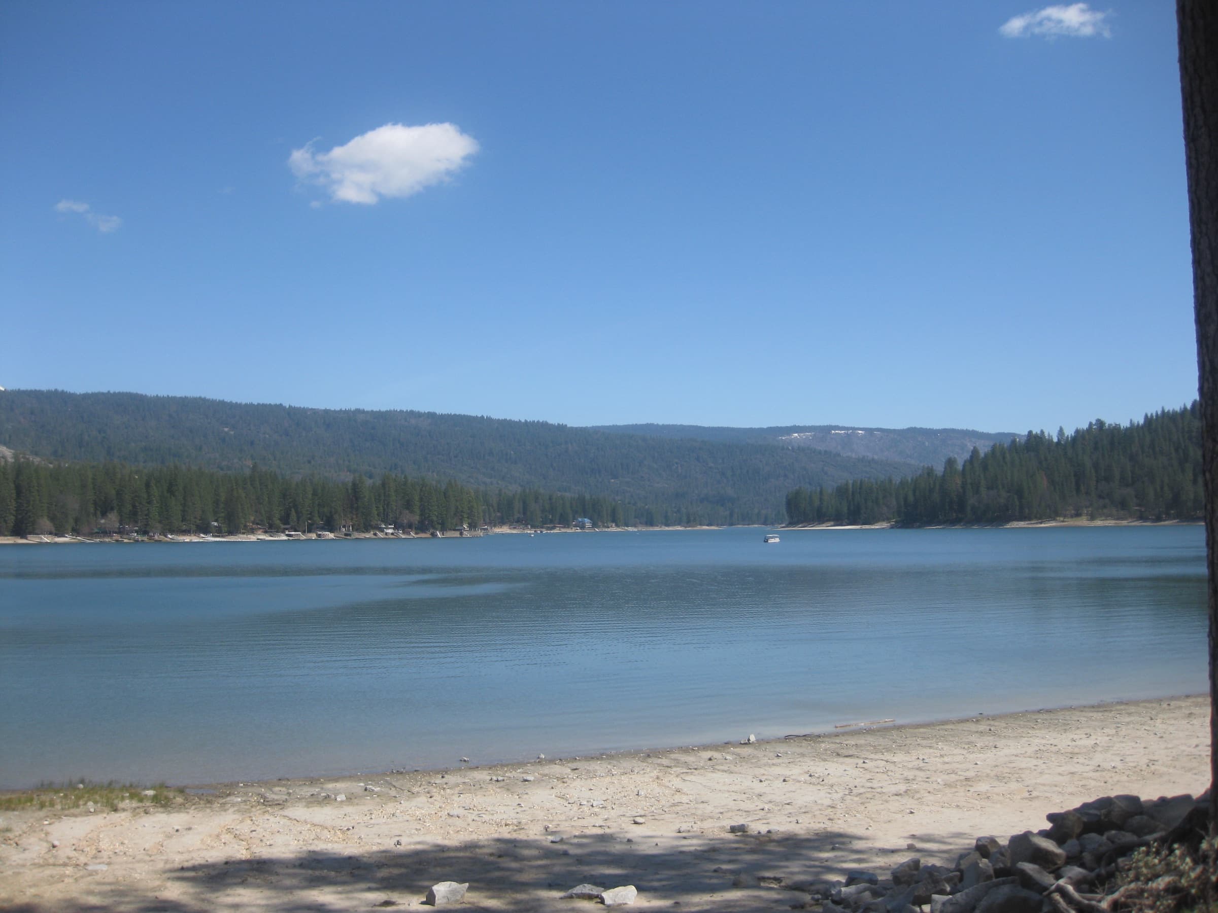 Bass Lake shoreline framed by evergreen forest