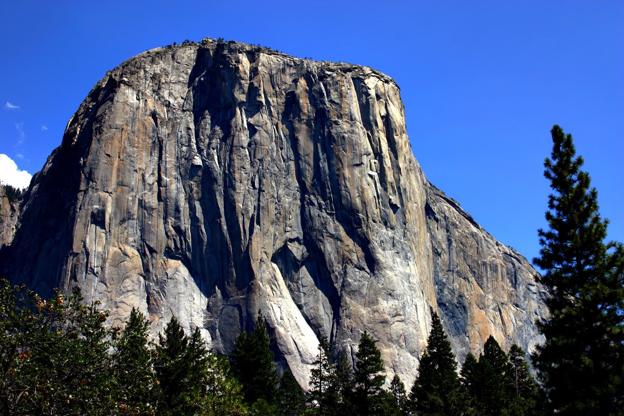 El Capitan’s granite face rising above Yosemite Valley