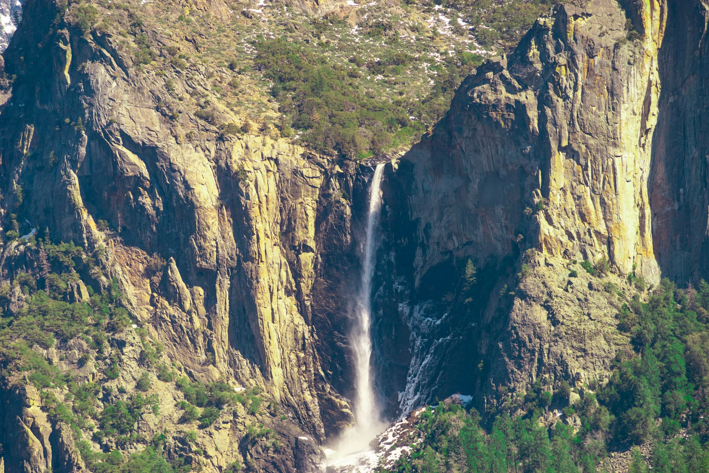 Yosemite Valley cliffs and forest under open sky